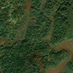 Satellite imagery of Masons Tolt, CA