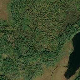 Satellite imagery of Uncle Dan Caslows Mountain, CA