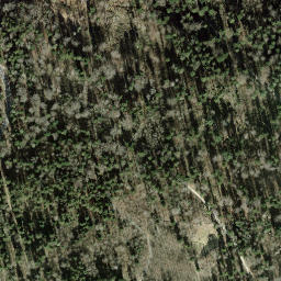 Satellite imagery of Viergemeinde Stein, CH