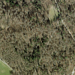 Satellite imagery of Zürichberg, CH