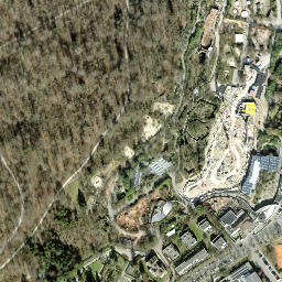 Satellite imagery of Zürichberg, CH