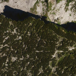 Satellite imagery of Toreck, DE