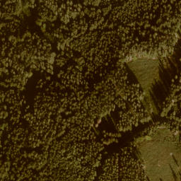 Satellite imagery of Palfner Kogel, AT