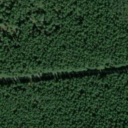 Satellite imagery of BARNESTON — NGS SX1311 — King County, US, US
