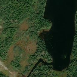 Satellite imagery of Masons Tolt, CA