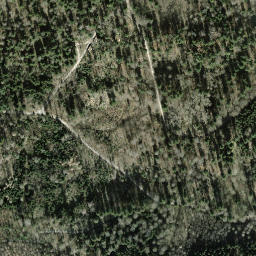 Satellite imagery of Viergemeinde Stein, CH