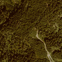 Satellite imagery of Palfner Kogel, AT