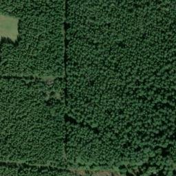Satellite imagery of SELLECK MILL TALLEST STACK — NGS SX1333 — King County, US, US