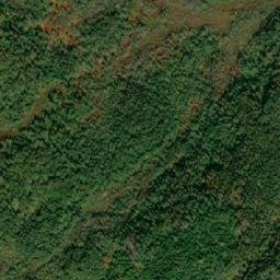 Satellite imagery of Masons Tolt, CA