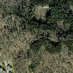 Satellite imagery of Viergemeinde Stein, CH