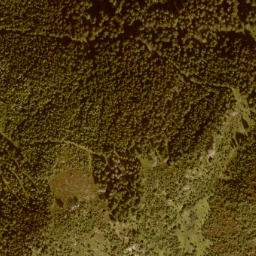 Satellite imagery of Palfner Kogel, AT
