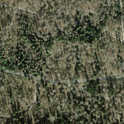 Satellite imagery of Adlisberg, CH