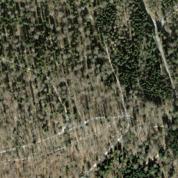 Satellite imagery of Adlisberg, CH