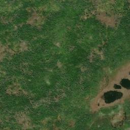 Satellite imagery of Scotts Hill, CA