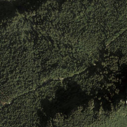 Satellite imagery of Schwarzenberg, AT