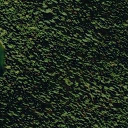 Satellite imagery of Silver Lake Mine, US