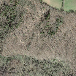 Satellite imagery of Bne frontière 459, CH