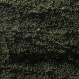 Satellite imagery of Weisse Fluh, AT