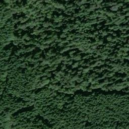Satellite imagery of P 462 — NGS SX0750 — King County, US, US