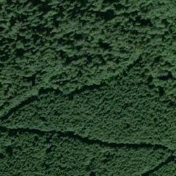 Satellite imagery of P 462 — NGS SX0750 — King County, US, US