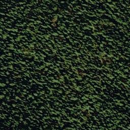 Satellite imagery of Silver Lake Mine, US