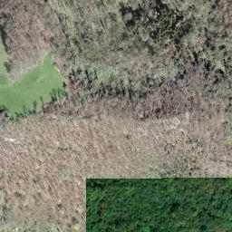 Satellite imagery of Bne frontière 459, CH