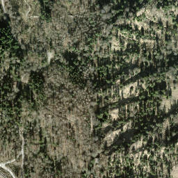Satellite imagery of Sendeturm Uetliberg, CH