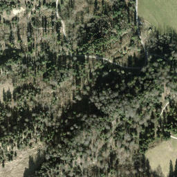 Satellite imagery of Sendeturm Uetliberg, CH