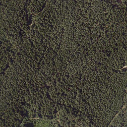 Satellite imagery of Wachholz, AT