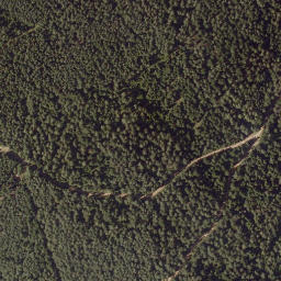 Satellite imagery of Wachholz, AT