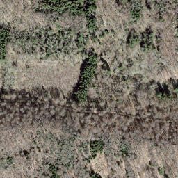 Satellite imagery of Bne front. 448, CH