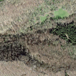 Satellite imagery of Bne frontière 454, CH