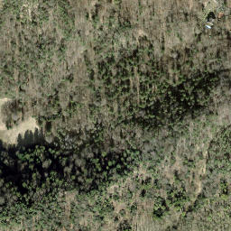Satellite imagery of Sendeturm Uetliberg, CH