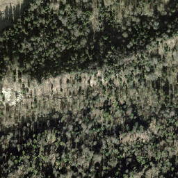 Satellite imagery of Bernegg, CH