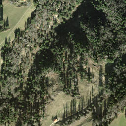 Satellite imagery of Wilgupf, CH