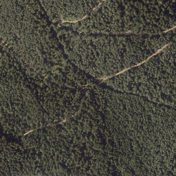 Satellite imagery of Wachholz, AT