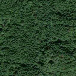 Satellite imagery of N 462 — NGS SX0749 — King County, US, US