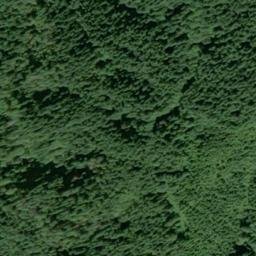 Satellite imagery of N 462 — NGS SX0749 — King County, US, US