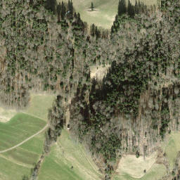 Satellite imagery of Hohenegg, CH