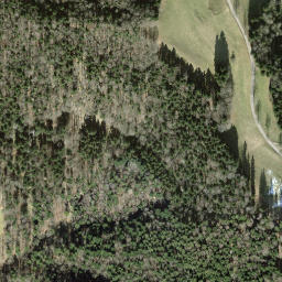 Satellite imagery of Tännler, CH
