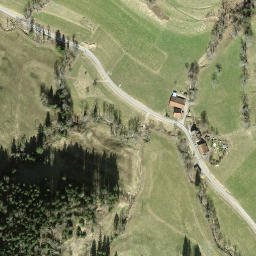 Satellite imagery of Tännler, CH