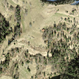 Satellite imagery of Hirzegg, CH