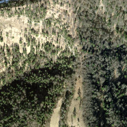 Satellite imagery of Hirzegg, CH