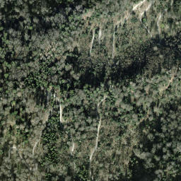 Satellite imagery of Höckleregg, CH