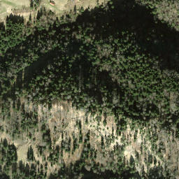 Satellite imagery of Hirzegg, CH