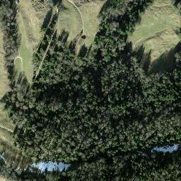 Satellite imagery of Hirzegg, CH