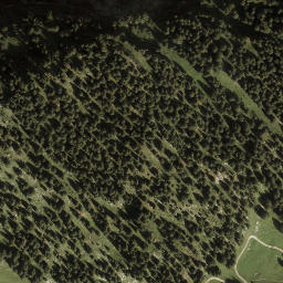 Satellite imagery of Mittagsfluh, AT