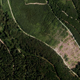Satellite imagery of Kohlrücken, AT