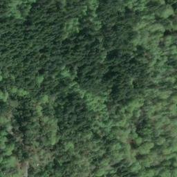 Satellite imagery of Point Dalco, US