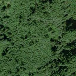 Satellite imagery of MCDONALD MTN — NGS SX1337 — King County, US, US